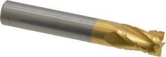 Hertel - 5/16" Diam, 1/2" LOC, 4 Flute Solid Carbide Roughing Square End Mill - TiN Finish, 2" OAL, 5/16" Shank Diam, Single End, Centercutting - Eagle Tool & Supply