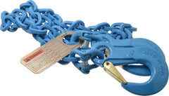 Pewag - 5' Long, 5,200 Lb Basket Capacity, 5,200 Lb Vertical Capacity, 1 Ply, Alloy Steel Web Sling - 4,500 Lb Choker Capacity, SSS Chain Sling, 9/32" Diam Chain, Blue, with Sling Hooks on Each End - Eagle Tool & Supply