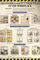 NMC - 24" Wide x 36" High Laminated Paper Ergonomics Information Poster - English - Eagle Tool & Supply