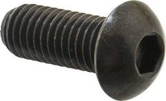 Holo-Krome - 1/2-13 UNC Hex Socket Drive, Button Screw - Alloy Steel, Black Oxide Finish, Fully Threaded, 1-1/4" Length Under Head - Eagle Tool & Supply
