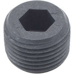 Holo-Krome - 3/8-18, 1/2" OAL, Alloy Steel Socket Pressure Plug - 3/4" Taper per Foot, 5/16" Hex Key - Eagle Tool & Supply