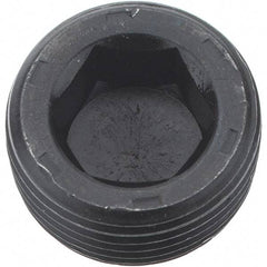 Holo-Krome - 3/4-14, 17/32" OAL, Alloy Steel Socket Pressure Plug - 7/8" Taper per Foot, 9/16" Hex Key - Eagle Tool & Supply