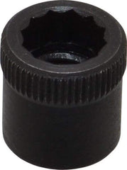 Holo-Krome - 5/16-24" Thread Uncoated Steel Allen Nut - 5/16" Diam, 5/16" Hex Key - Eagle Tool & Supply