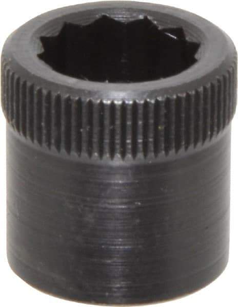 Holo-Krome - 3/8-16" Thread Uncoated Steel Allen Nut - 3/8" Diam, 3/8" Hex Key - Eagle Tool & Supply