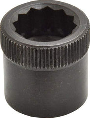 Holo-Krome - 3/4-10" Thread Uncoated Steel Allen Nut - 3/4" Diam, 3/4" Hex Key - Eagle Tool & Supply