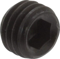 Holo-Krome - 1/4-28 UNF, 3/16" OAL, Cup Point Set Screw - Grade 8 Alloy Steel, 1/8" Key - Eagle Tool & Supply
