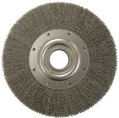 Weiler - 12" OD, 2" Arbor Hole, Crimped Steel Wheel Brush - 2" Face Width, 2-7/8" Trim Length, 0.02" Filament Diam, 3,000 RPM - Eagle Tool & Supply