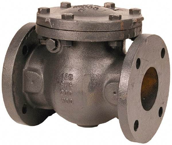 NIBCO - 2-1/2" Cast Iron Check Valve - Flanged, 200 WOG - Eagle Tool & Supply