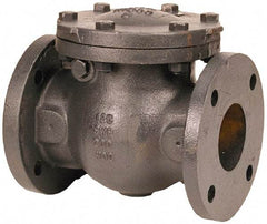 NIBCO - 2-1/2" 3% Nickel Check Valve - Flanged, 200 WOG - Eagle Tool & Supply