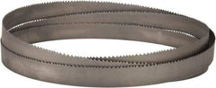 Lenox - 4 to 6 TPI, 11' 6" Long x 1-1/4" Wide x 0.042" Thick, Welded Band Saw Blade - Bi-Metal, Toothed Edge, Raker Tooth Set, Flexible Back - Eagle Tool & Supply