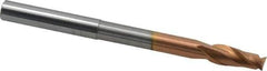 Accupro - 5/16", 3/4" LOC, 5/16" Shank Diam, 4" OAL, 2 Flute, Solid Carbide Square End Mill - Single End, TiCN Finish, Spiral Flute, 40° Helix, Centercutting, Right Hand Cut, Right Hand Flute - Eagle Tool & Supply