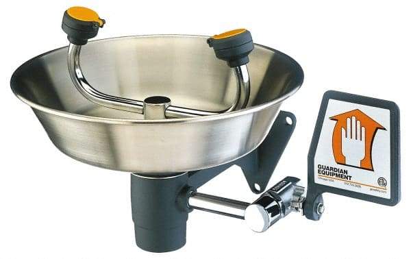 PRO-SAFE - Wall Mount, Stainless Steel Bowl, Eyewash Station - 1/2" Inlet - Eagle Tool & Supply