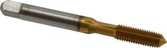 Hertel - 1/4-28 UNF H4 Thread Limit Plug Thread Forming Tap - High Speed Steel, TiN Finish, 2-1/2" OAL - Eagle Tool & Supply