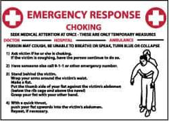 NMC - "Emergency Response - Choking", 10" Long x 14" Wide, Rigid Plastic Safety Sign - Rectangle, 0.05" Thick, Use for First Aid - Eagle Tool & Supply
