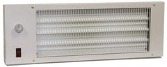 TPI - 22-3/4" Long, 580 BTU Radiant Heat Panel - 120 Volts, 170 Watts - Eagle Tool & Supply