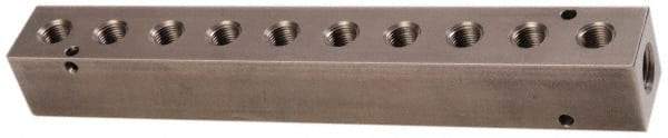 Made in USA - 1/4" Inlet, 1/8" Outlet Manifold - 7-3/4" Long x 1" Wide x 1" High, 0.17" Mount Hole, 2 Inlet Ports, 10 Outlet Ports - Eagle Tool & Supply