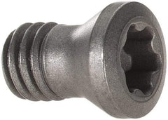 Seco - Torx Plus Lock Screw for Indexable Milling - For Use with Inserts - Eagle Tool & Supply