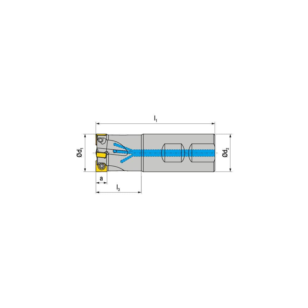 Indexable Square-Shoulder End Mill:  C490.25.R.03-09-B-32,  25.0000'' Shank Dia,  Weldon Flat Shank Uses  3,  Normal Pressure,  88.00 mm OAL