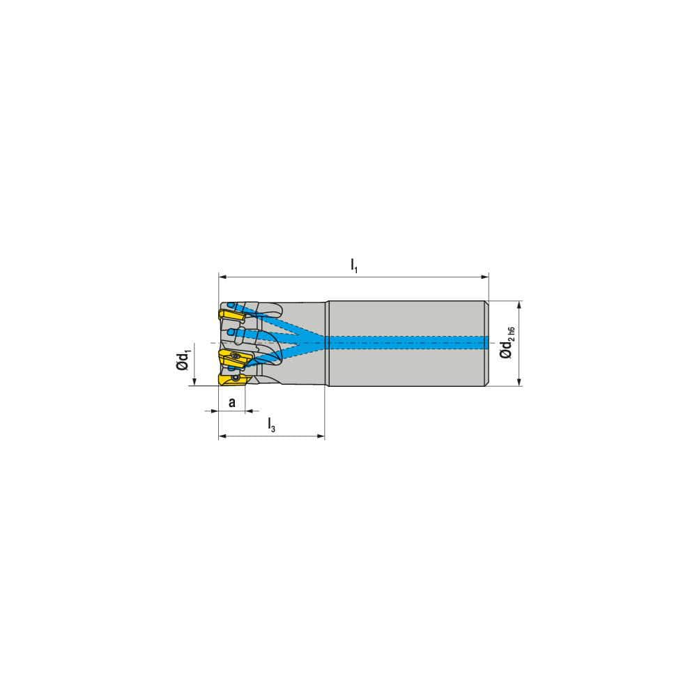 Indexable Square-Shoulder End Mill:  C211.10.R.01-07-A-20,  10.0000'' Shank Dia,  Cylindrical Shank Uses  1,  Normal Pressure,  61.00 mm OAL