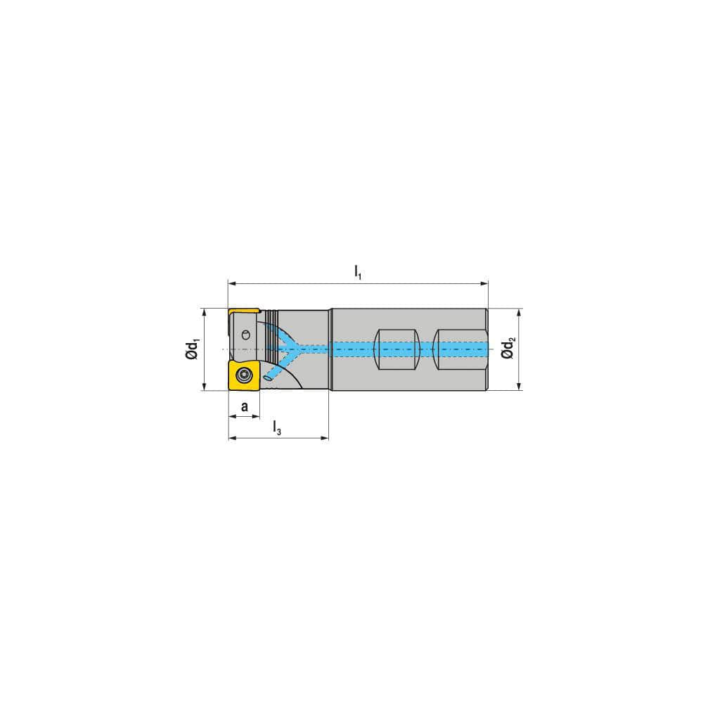 Indexable Square-Shoulder End Mill:  C491.32.R.03-09-B-40,  32.0000'' Shank Dia,  Weldon Flat Shank Uses  3,  Normal Pressure,  101.00 mm OAL