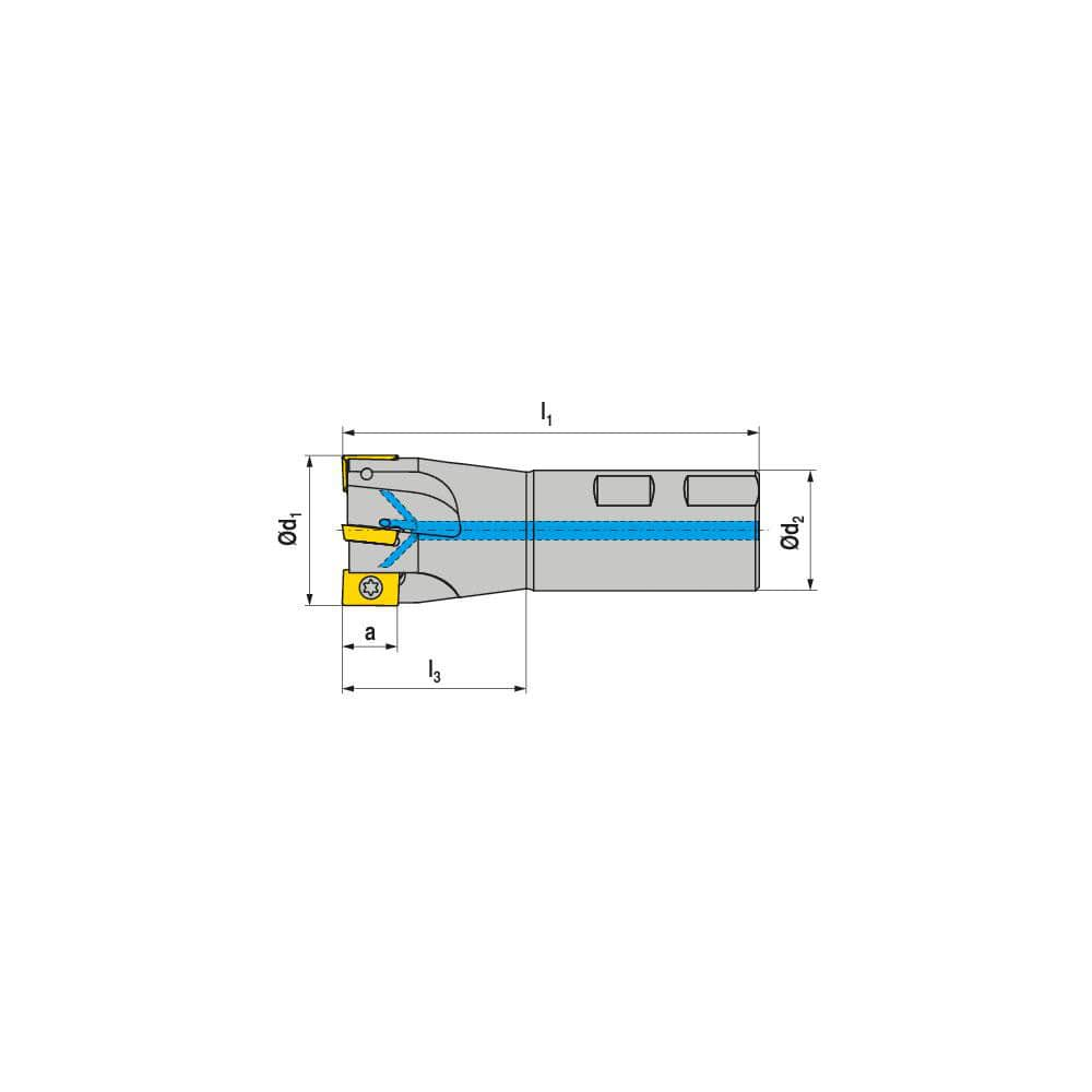 Indexable Square-Shoulder End Mill:  C141.32.R.03-15,  32.0000'' Shank Dia,  Weldon Flat Shank Uses  3,  Normal Pressure,  108.00 mm OAL