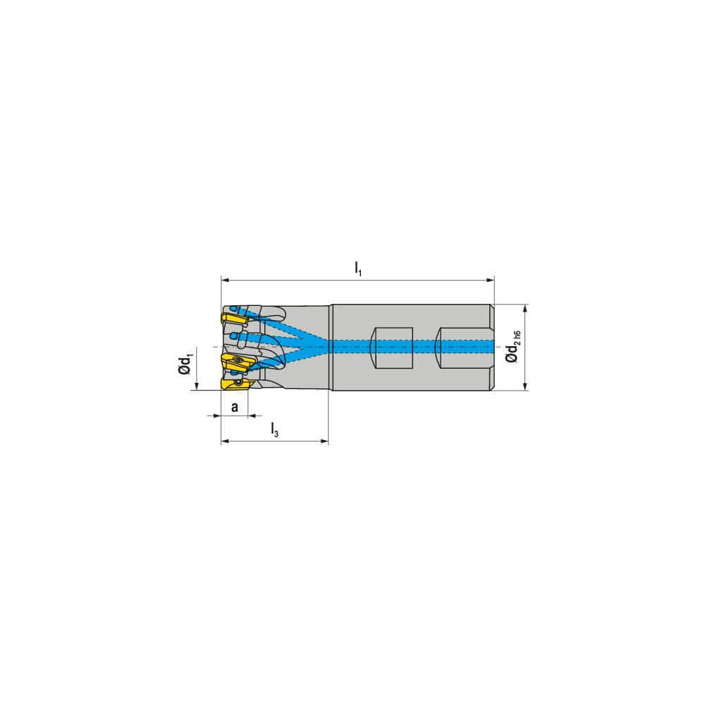 Indexable Square-Shoulder End Mill:  C211150R0415B125200,  1.5000'' Cut Dia,  0.5510'' Max Depth of Cut,  1.2500'' Shank Dia,  Weldon Flat Shank Uses  4,  Normal Pressure,