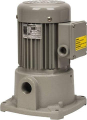 Graymills - 230/460 Volt, 3/4 hp, 3 Phase, 3,450 RPM, Cast Iron Suction Machine Tool & Recirculating Pump - 43 GPM, 1" Inlet, 52 psi, 8" Long x 8" Mounting Flange Width, 11-13/16" Overall Height, Metric Thread, Aluminum Impeller - Eagle Tool & Supply