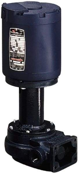 Graymills - 115 Volt, 1/6 hp, 1 Phase, 3,450 RPM, Cast Iron Flanged Outside Suction Machine Tool & Recirculating Pump - 7-1/2" Long x 4-1/2" Mounting Flange Width, NPT Thread, Glass Filled Celcon Impeller - Eagle Tool & Supply
