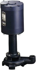 Graymills - 115/230 Volt, 1/2 hp, 1 Phase, 1,725 RPM, Immersion Machine Tool & Recirculating Pump - 160 GPM - Eagle Tool & Supply