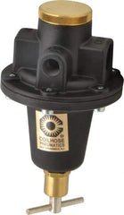 Coilhose Pneumatics - 1/2 NPT Port, 80 CFM, Cast Aluminum Tamper Proof Heavy-Duty T-Handle Regulator - 0 to 60 psi Range, 250 Max psi Supply Pressure, 1/4" Gauge Port Thread, 4" Wide x 7" High - Eagle Tool & Supply