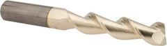 Accupro - 3/4", 3-1/4" LOC, 3/4" Shank Diam, 6" OAL, 2 Flute, Solid Carbide Square End Mill - Single End, ZrN Finish, Spiral Flute, 45° Helix, Centercutting, Right Hand Cut, Right Hand Flute - Eagle Tool & Supply