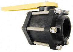 Green Leaf - 3" Pipe, Full Port, Polypropylene Standard Ball Valve - 3 Piece, Inline - One Way Flow, FNPT x FNPT Ends, Lever Handle, 100 WOG - Eagle Tool & Supply