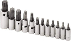 SK - 12 Piece 1/4, 3/8 & 1/2" Drive Torx Bit Socket Set - T10 to T60 Torx - Eagle Tool & Supply