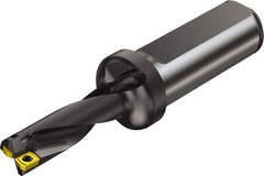 Sandvik Coromant - 42mm Max Drill Depth, 3xD, 13mm Diam, Indexable Insert Drill - 2 Inserts, 20mm Shank Diam, Flange Shank - Eagle Tool & Supply
