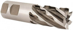 Weldon - 1-1/4" Diam, 2" LOC, 6 Flute High Speed Steel Roughing & Finishing Square End Mill - Uncoated, 4-1/2" OAL, 1-1/4" Shank Diam, Weldon Shank, 30° Helix, Non-Centercutting - Eagle Tool & Supply