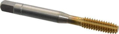 Balax - 1/4-20 UNC 2B H8 Thread Limit Bottoming Thread Forming Tap - Powdered Metal High Speed Steel, TiN Finish, 2-1/2" OAL, 0.79" Thread Length, Right Hand Thread, Series BXSTAINLESS - Eagle Tool & Supply