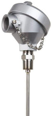 Thermo Electric - -148 to 900°F, 100 OMS Industrial RTD, Thermocouple Probe - 1/2 Inch Hex Mount, 12 Inch Probe Sheath Length, 10 Sec Response Time - Eagle Tool & Supply