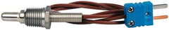 Thermo Electric - 0 to 700°F, T Pipe Plug, Thermocouple Probe - 5 Ft. Cable Length, Mini Connector, 1/2 Inch Probe Sheath Length, 6 Sec Response Time - Eagle Tool & Supply