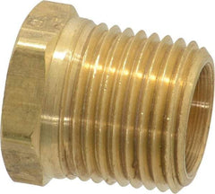 Parker - 1/2 Male Thread, Brass Industrial Pipe Hex Head Plug - MNPTF, 1,000 psi - Eagle Tool & Supply