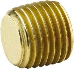 Parker - 3/4 Male Thread, Brass Industrial Pipe Hollow Hex Plug - MNPTF, 1,000 psi - Eagle Tool & Supply