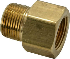 Parker - 3/4 Male Thread x 3/4 Female Thread, Brass Industrial Pipe Adapter - MNPTF x FNPTF, 1,000 psi - Eagle Tool & Supply