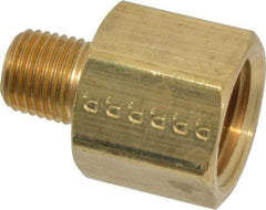 Parker - 1/4 Male Thread x 1/2 Female Thread, Brass Industrial Pipe Adapter - MNPTF x FNPTF, 1,000 psi - Eagle Tool & Supply
