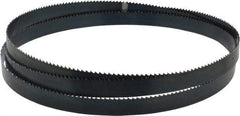 Starrett - 6 TPI, 7' 9" Long x 3/4" Wide x 0.032" Thick, Welded Band Saw Blade - Carbon Steel, Toothed Edge, Raker Tooth Set, Flexible Back, Contour Cutting - Eagle Tool & Supply