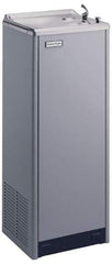 Halsey Taylor - 8 GPH Cooling Capacity Deluxe Floor Standing Water Cooler & Fountain - 0.16 hp, Optional Glass Filler Sold Separately - Eagle Tool & Supply