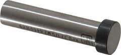 Dayton Lamina - 1/2" Head Diam, 3/8" Shank Diam, Basic Head, M2 Grade High Speed Steel, Solid Mold Die Blank & Punch - 3/16" Head Height, 1-3/4" OAL, Blank Punch, Regular (KPB) Series - Eagle Tool & Supply