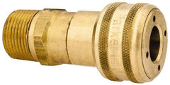 Parker - 3/4-14 Male NPT Industrial Pneumatic Hose Coupler - Brass, 1/2" Body Diam - Eagle Tool & Supply
