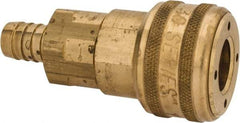 Parker - Hose Barb Industrial Pneumatic Hose Coupler - Brass, 1/2" Body Diam, 1/2" Hose ID - Eagle Tool & Supply