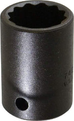 Proto - 1/2" Drive 13/16" Standard Impact Socket - 12 Points, 1-5/8" OAL - Eagle Tool & Supply