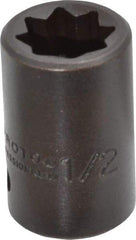 Proto - 1/2" Drive 1/2" Standard Impact Socket - 8 Points, 1-1/2" OAL - Eagle Tool & Supply