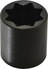 Proto - 1/2" Drive 13/16" Standard Impact Socket - 8 Points, 1-1/2" OAL - Eagle Tool & Supply